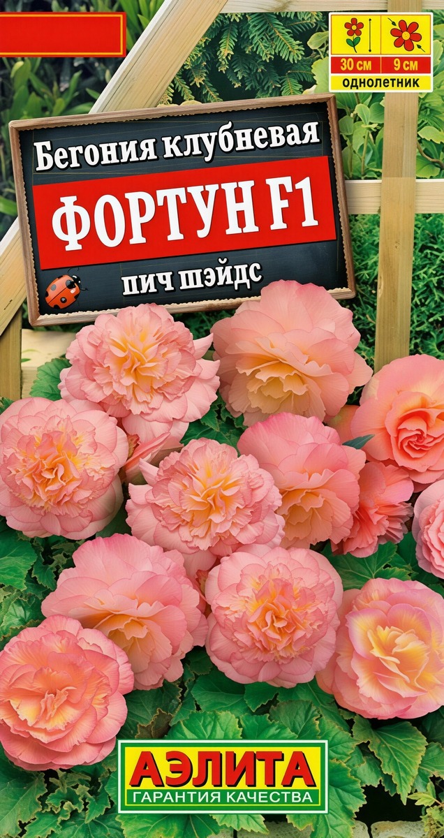 Бегония клубневая Фортун F1 пич шэйдс, 5 шт.