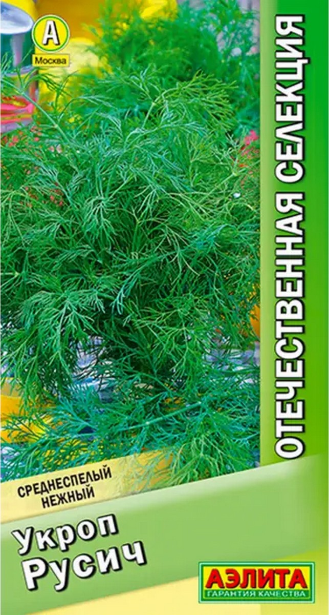 Укроп Русич, 2 г