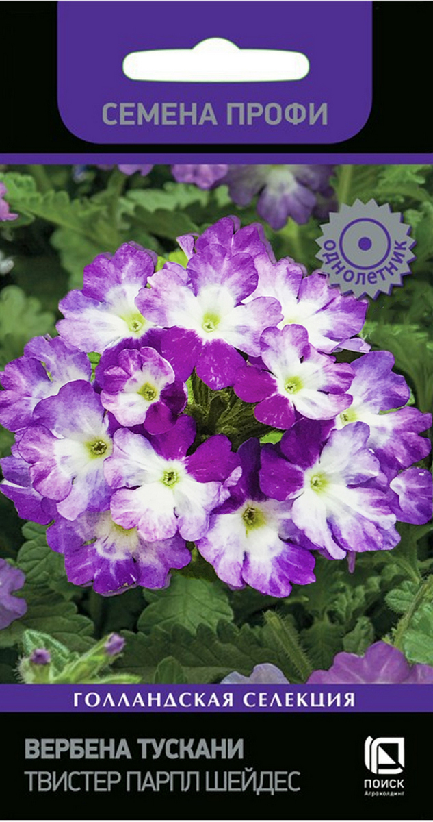 Вербена Тускани Твистер Парпл Шейдес, 10 шт. Семена профи
