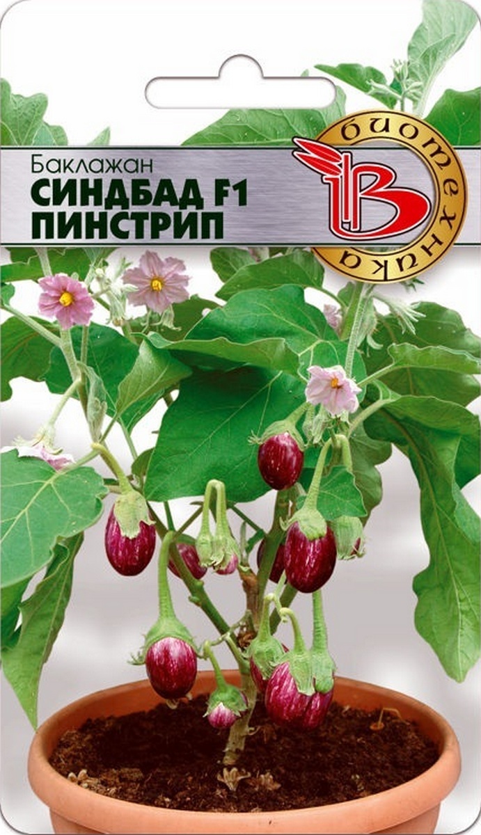 Баклажан Синдбад F1 Пинстрип, 5 шт.