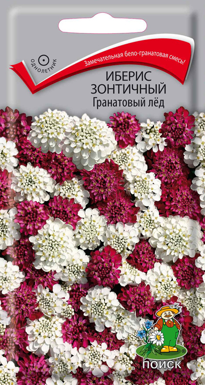 Иберис зонтичный Гранатовый лед, 0,1 г