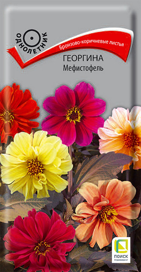 Георгина Мефистофель, 0,2 г