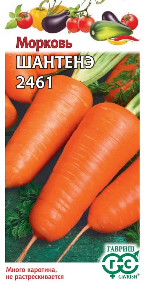 Морковь Шантенэ 2461, гранулы, 300 шт.