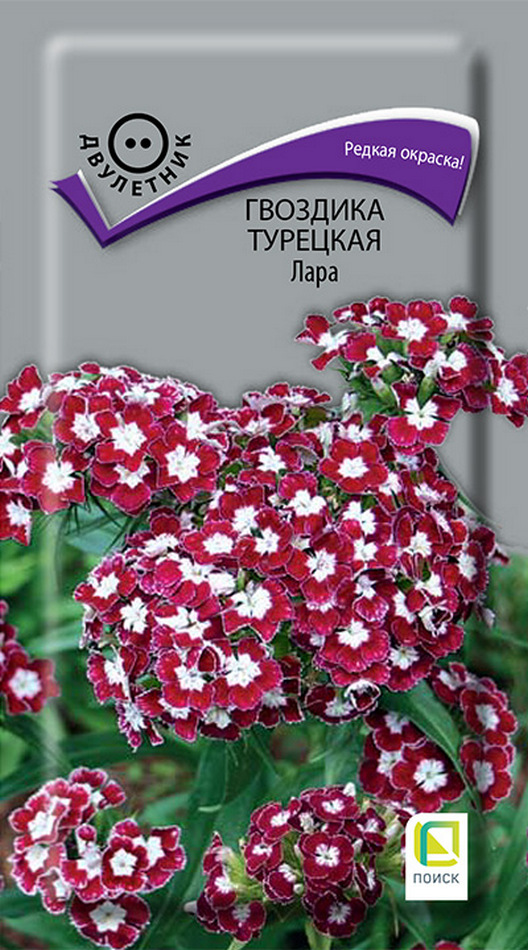 Гвоздика Турецкая Лара, 0,3 г