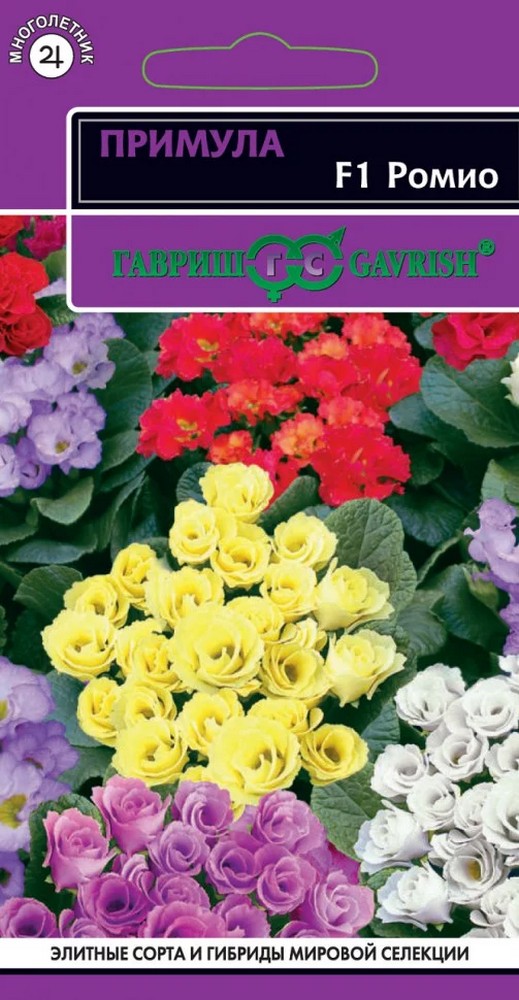 Примула Ромио F1 махровая, 3 шт.