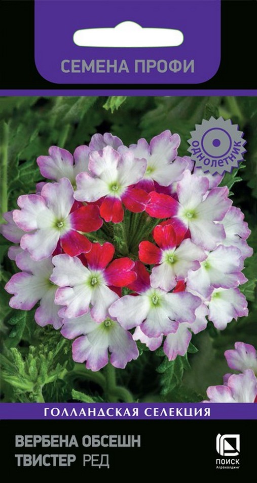 Вербена Обсешн Твистер Ред, 10 шт. Семена профи