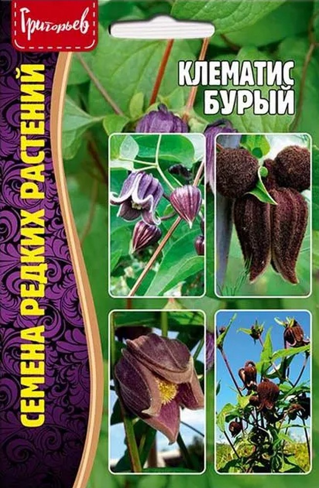 Клематис Фиолетовый (Сlematis viticella), 3 шт.