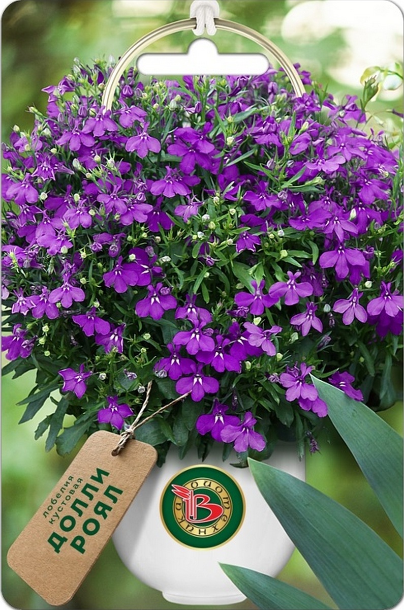 Лобелия кустовая Долли  Роял, 10 шт. Биотехника