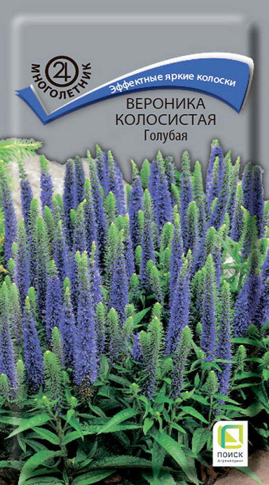 Вероника колосистая Голубая, 0,1 г Поиск