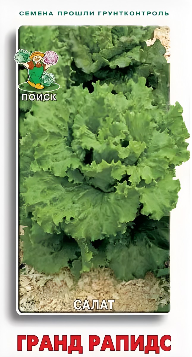 Салат Гранд Рапидс, 1 г 