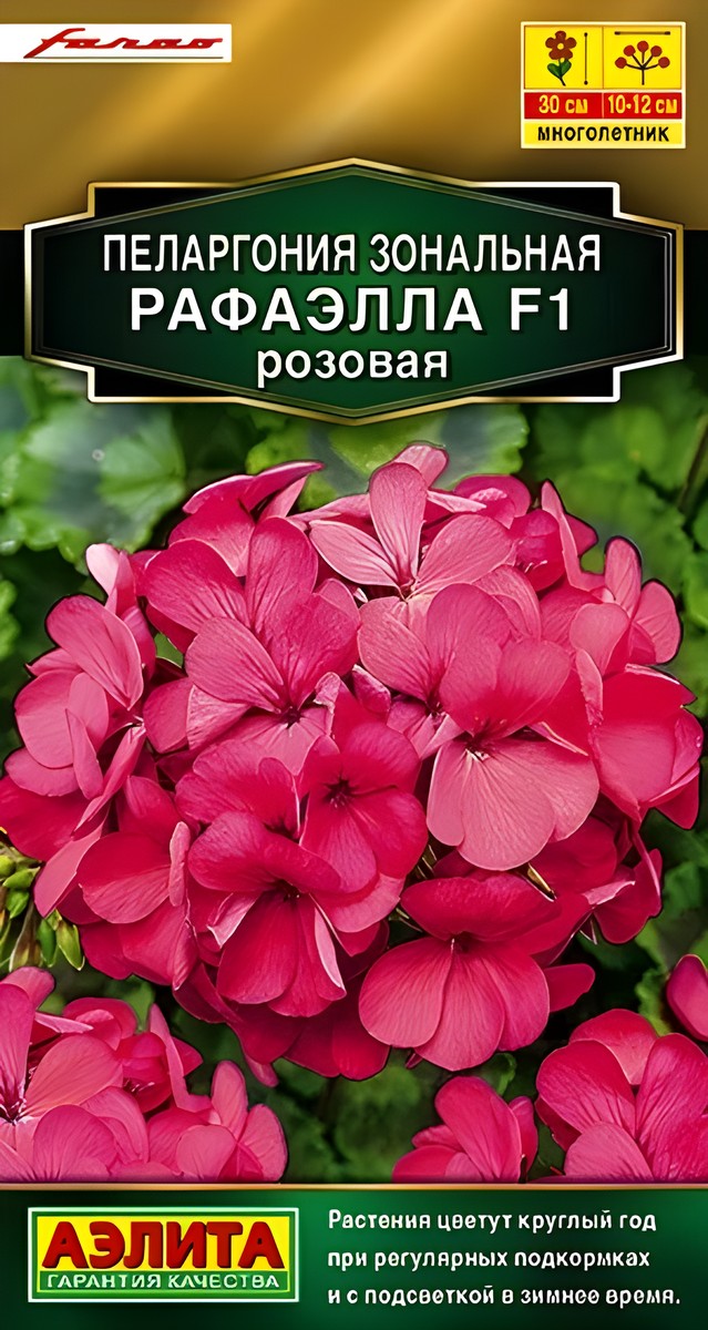 Пеларгония Рафаэлла F1, розовая, 5 шт.