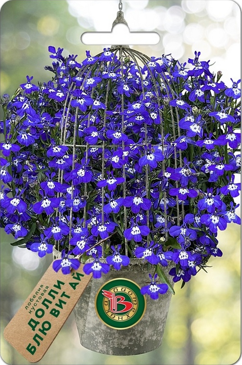 Лобелия кустовая Долли Блю Вит Ай, 10 шт. Драже Биотехника