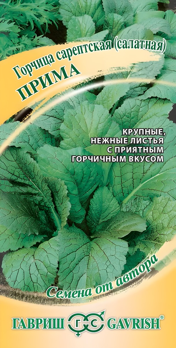 Горчица салатная Прима, 1 г. Семена от автора. 
