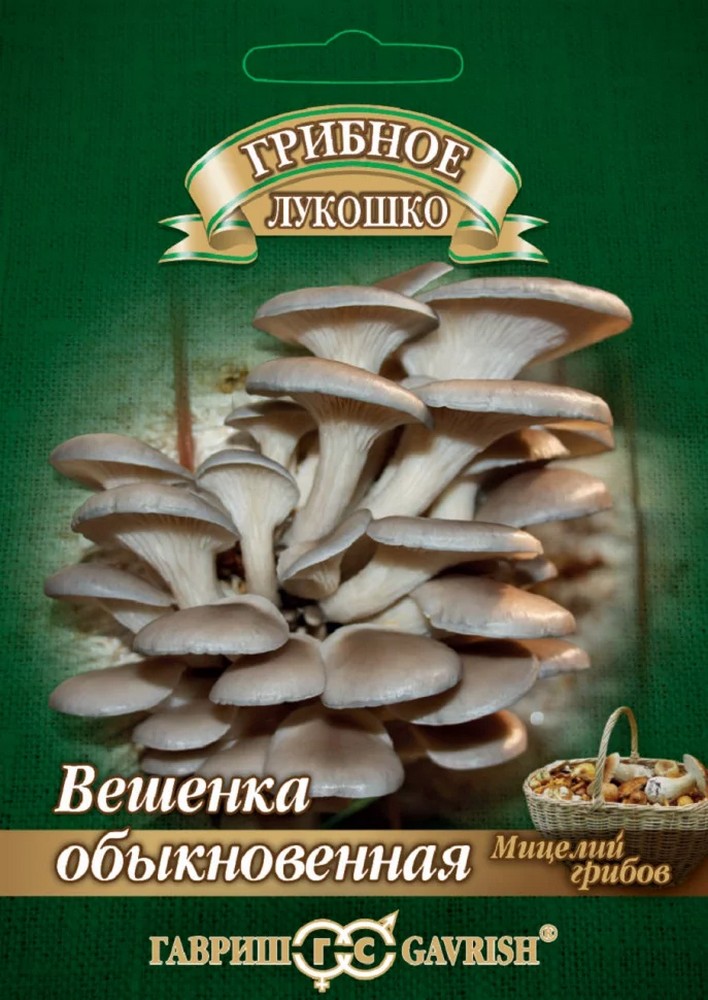 Вешенка Обыкновенная на древесной палочке, 12 шт.