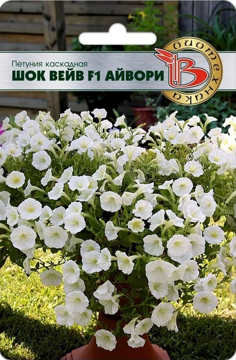 Петуния каскадная Шок Вейв F1 Айвори, 5 шт. Биотехника