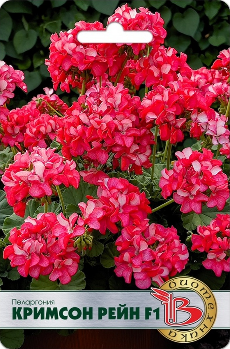 Пеларгония Кримсон Рейн F1, 5 шт. Биотехника