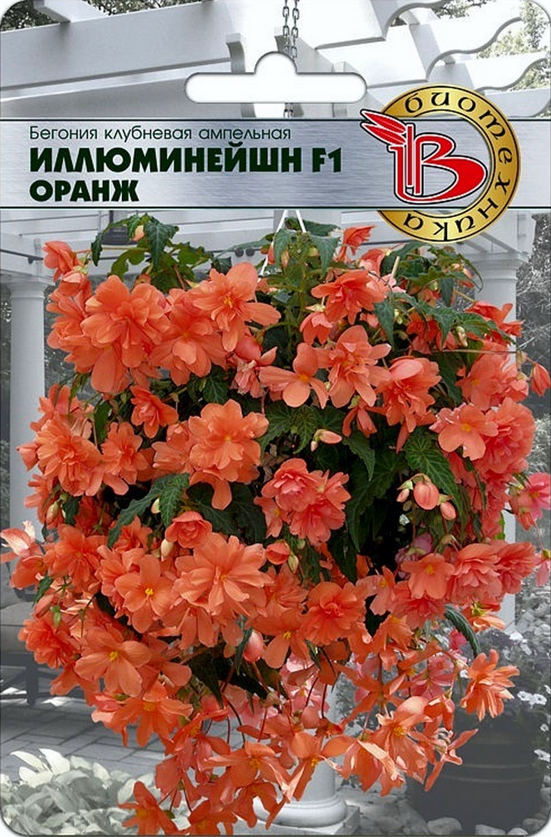 Бегония клубневая ампельная Иллюминейшн F1 Оранж, 8 шт. Биотехника