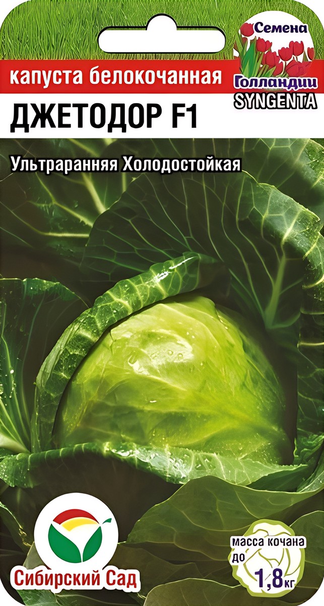 Капуста белокочанная Джетодор F1, 10 шт. Семена Голандии. Сибирский сад