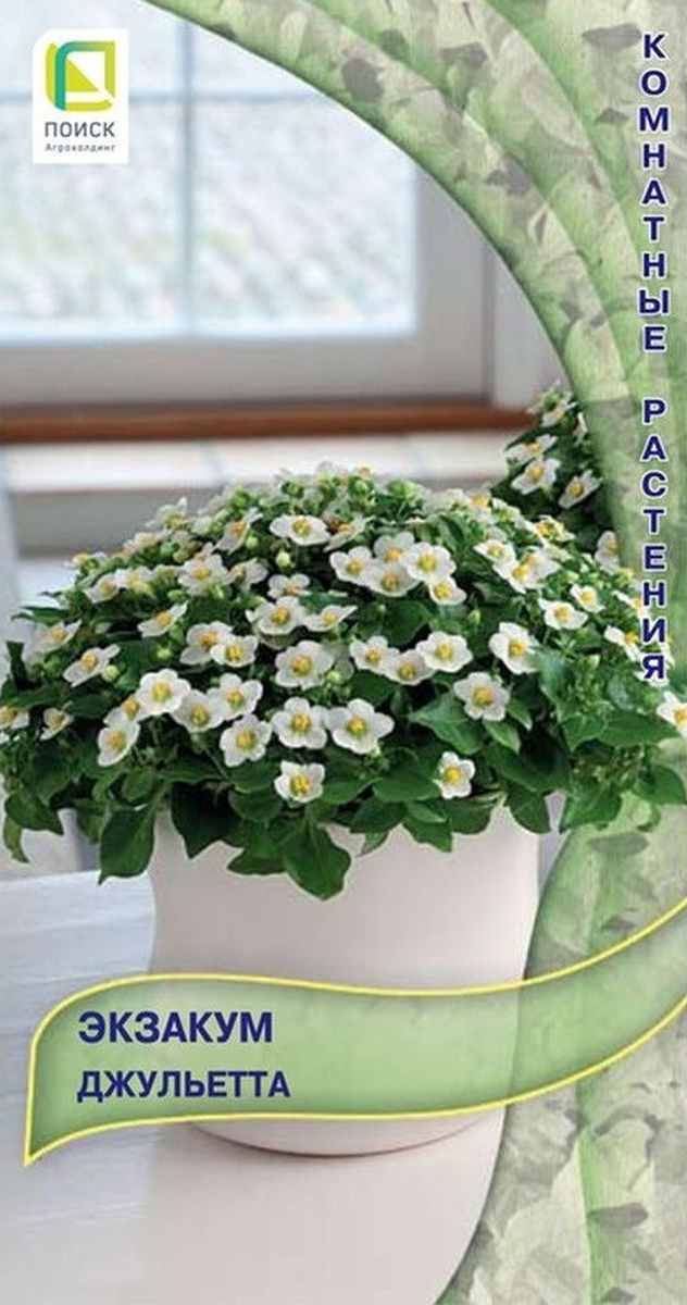 Экзакум Джульетта, 5 шт.