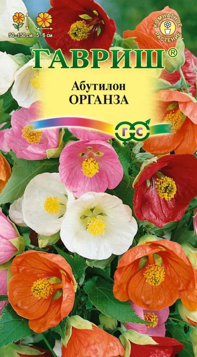 Абутилон Органза, смесь, 7 шт.