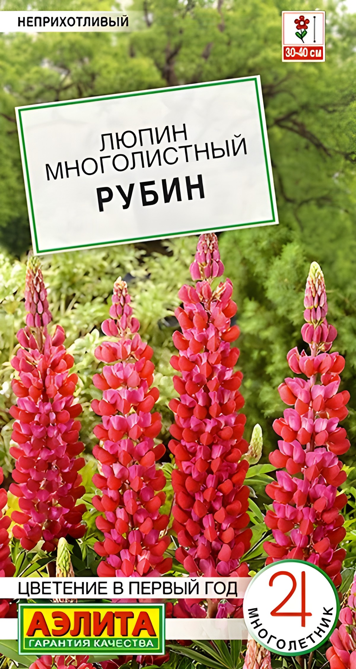 Люпин Рубин, 7 шт.