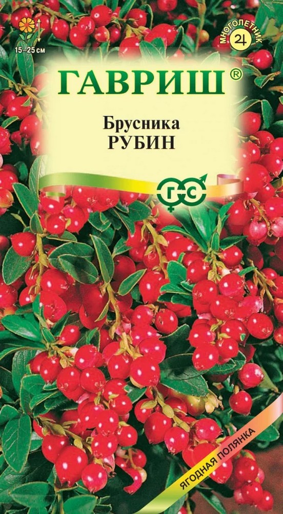 Брусника Рубин, 20 шт.