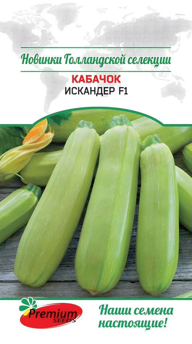 Кабачок Искандер F1, 4 шт. Голландская селекция
