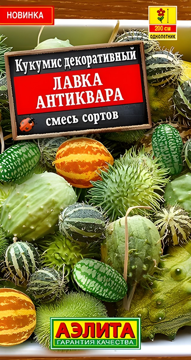 Кукумис декоративный Лавка антиквара, смесь, 10 шт.