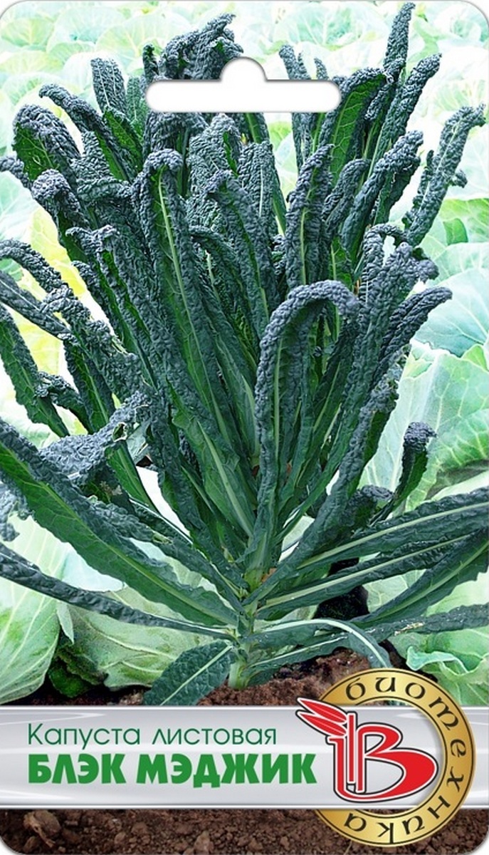 Капуста листовая Блэк Меджик, 0,3 г. Биотехника.
