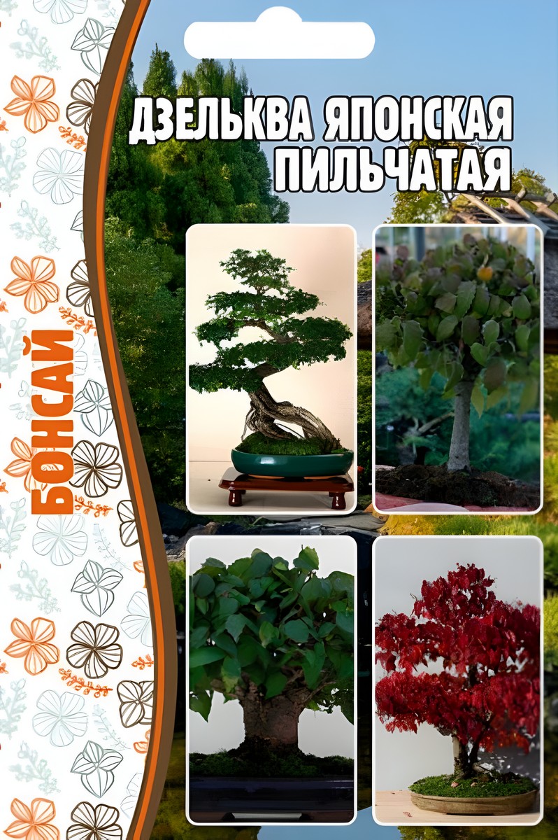 Дзельква японская пильчатая, 10 шт.