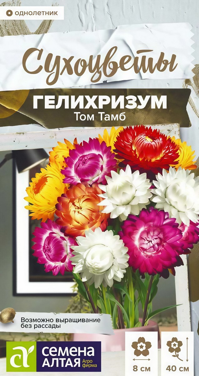 Гелихризум Том Тамб 0,1 г. Сухоцветы