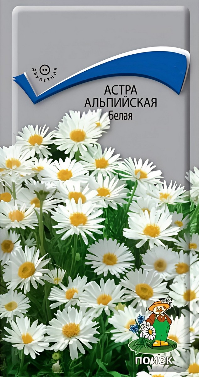 Астра альпийская Белая, 0,04 г