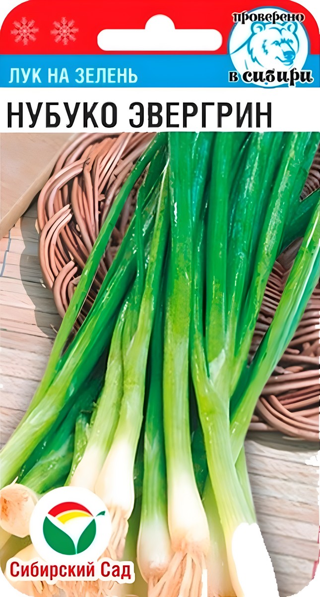 Лук на зелень Нубуко Эвергрин, 0,5 г. Сибирский сад.