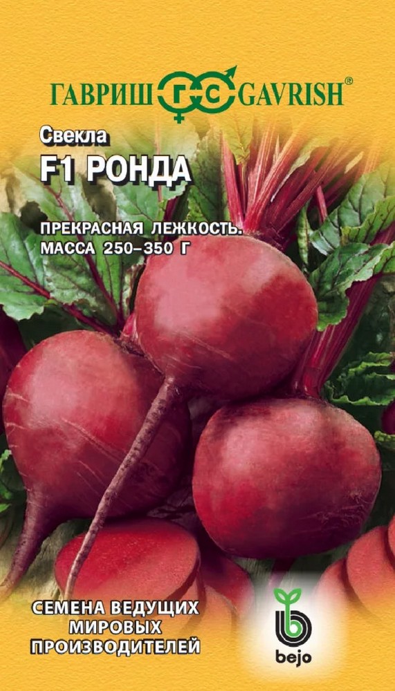 Свекла Ронда F1, 1 г. Голландия.