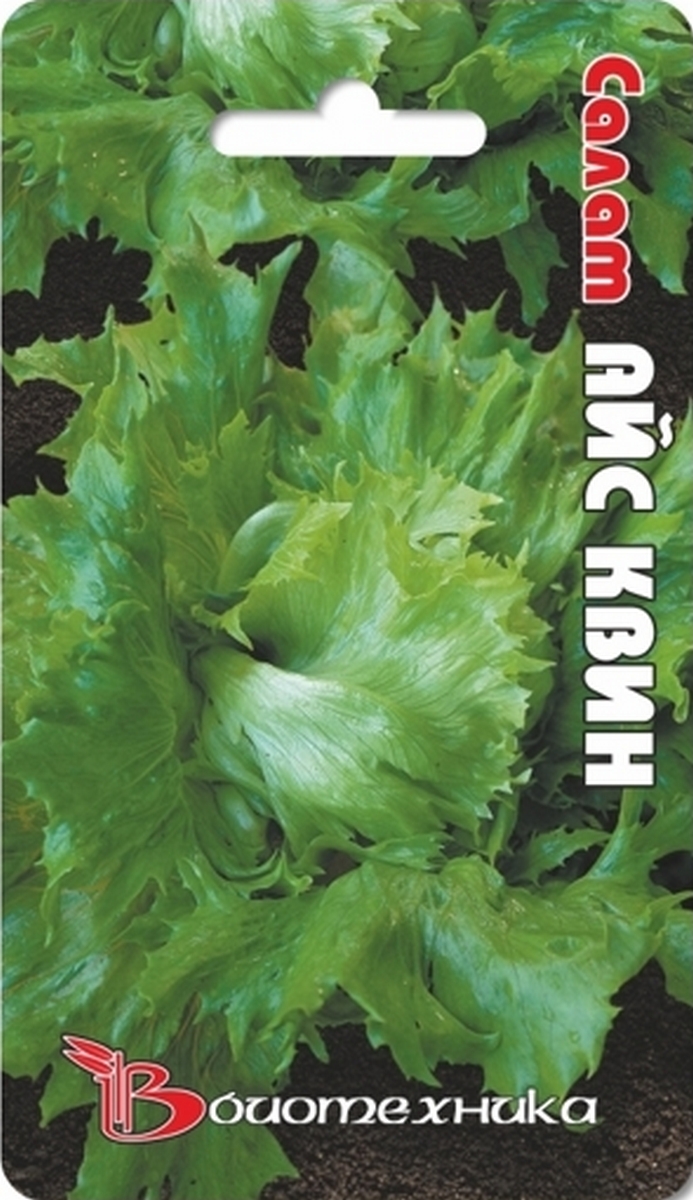 Салат Айс Квин, 0,5 г. Биотехника.