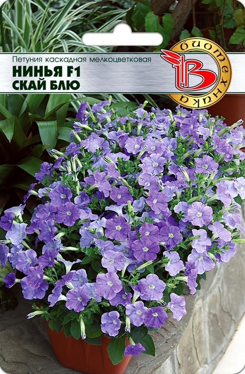 Петуния каскадная мелкоцветковая Нинья F1 Скай Блю, 5 шт. Биотехника