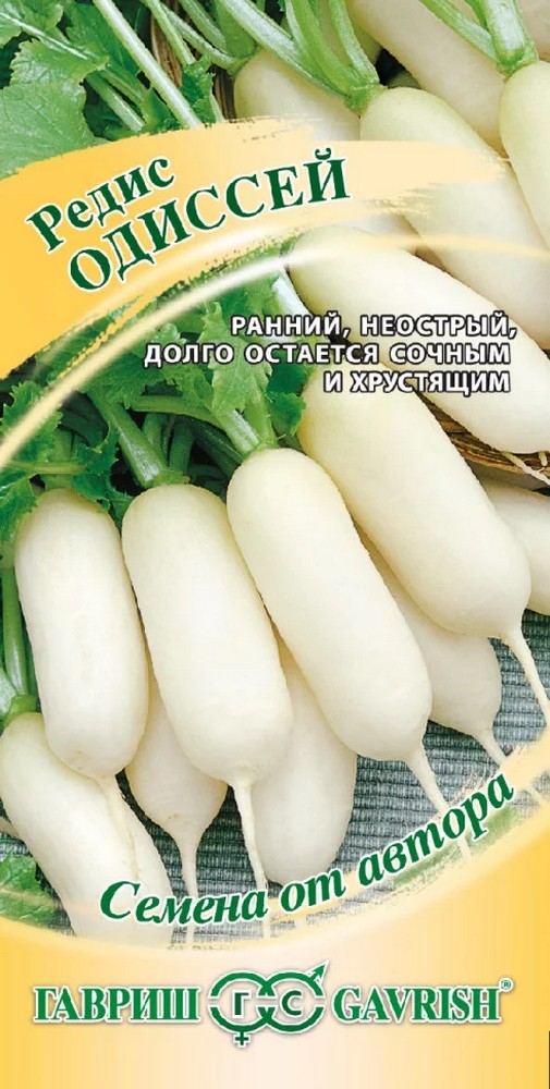 Редис Одиссей, 2 г. Авторские семена. 