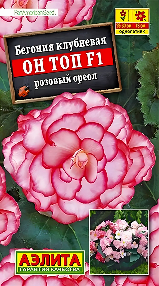 Бегония Он Топ F1 розовый ореол, 5 шт.