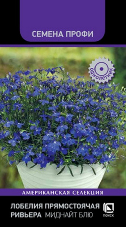 Лобелия прямостоячая Ривьера Миднайт Блю, Семена Профи, 10шт.