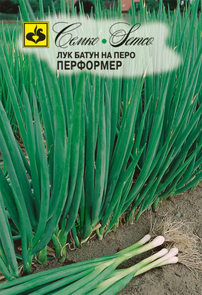 Лук батун Перформер, 1 г