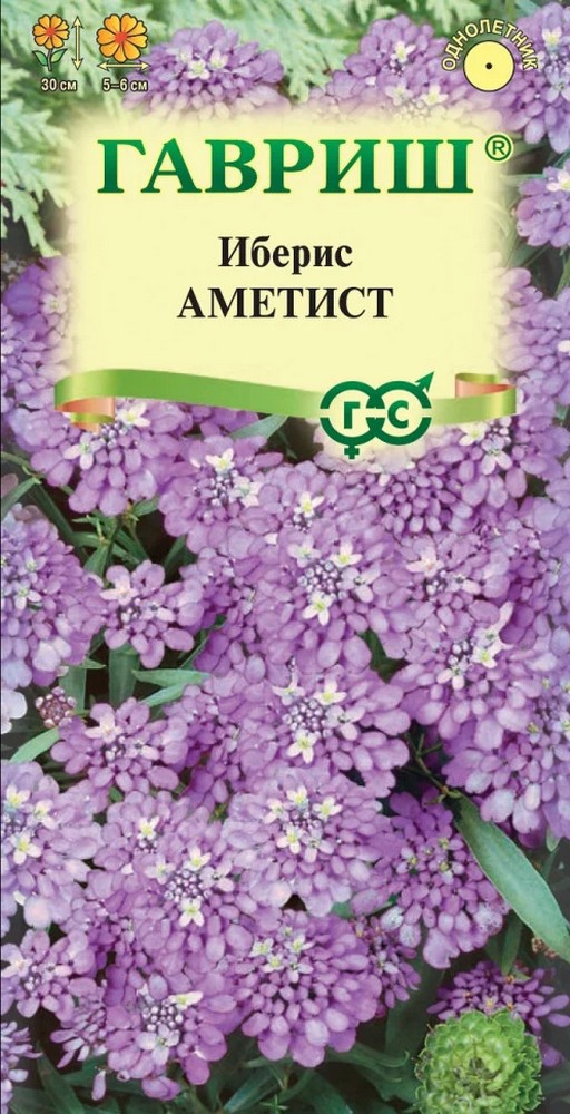 Иберис зонтичный Аметист, 0,2 г