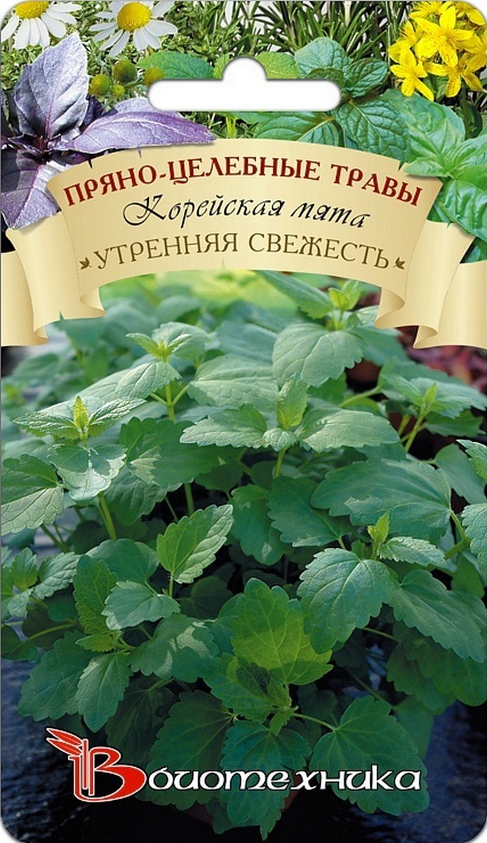 Мята корейская Утренняя свежесть, 0,1 г Биотехника