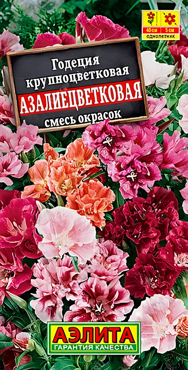 Годеция азалиецветковая махровая, смесь сортов, 0,05 г
