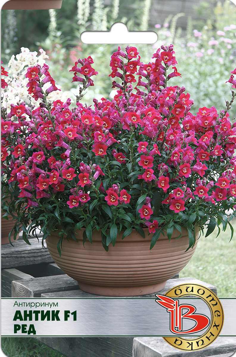 Антирринум Антик F1 Ред, 20 шт. Биотехника