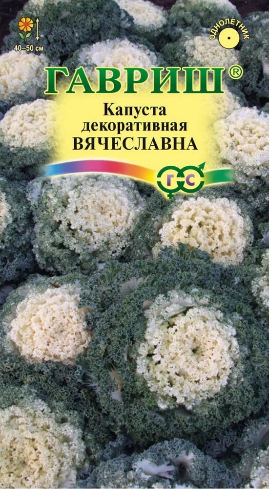 Капуста декоративная Вячеславна, 0,05 г