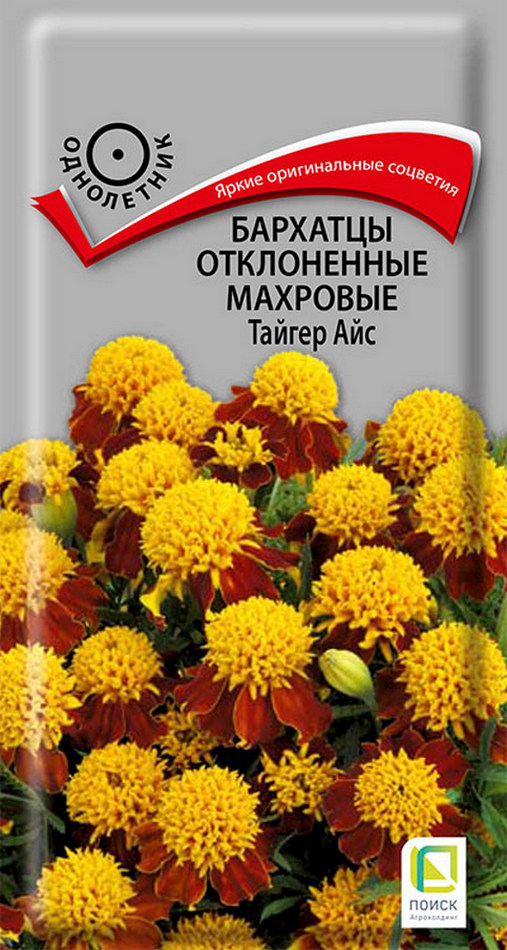 Бархатцы отклоненные махровые Тайгер Айс, 0,4 г