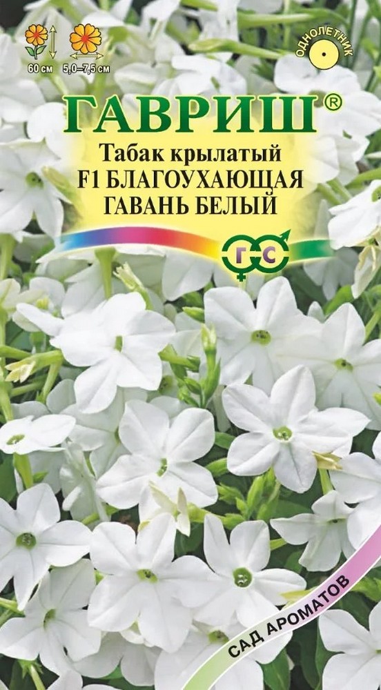 Табак душистый F1 Благоухающая гавань белый, 4 шт. Сад ароматов.