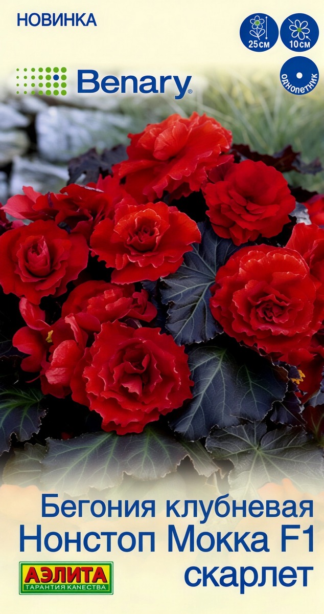 Бегония клубневая Нонстоп мокка F1 скарлет, 5 шт.
