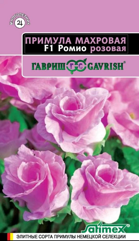 Примула махровая F1 Ромио розовая, 3шт. Эксклюзив.