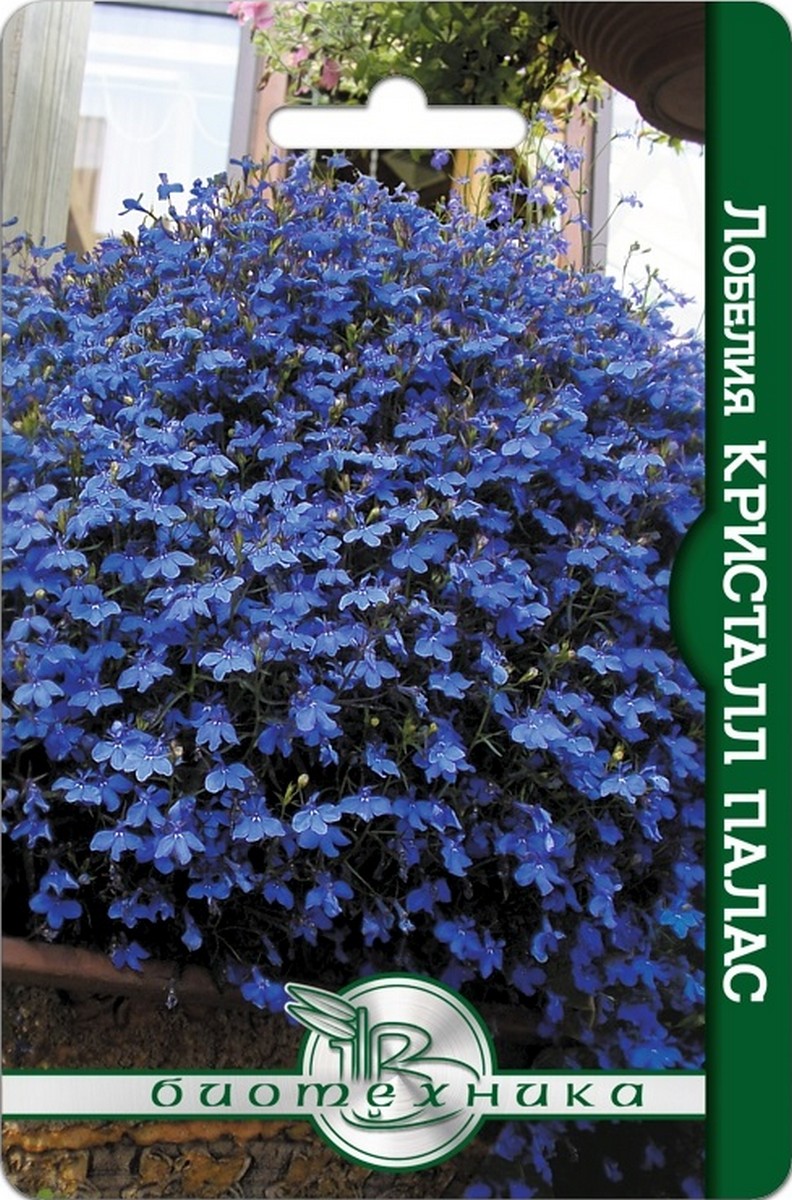 Лобелия Кристалл Палас, 1000 шт. Биотехника